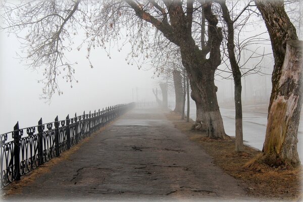 Spring city alley in the fog