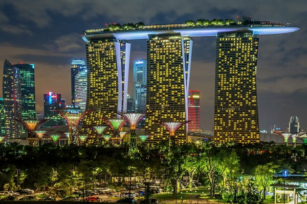 Garden and sand in singapore