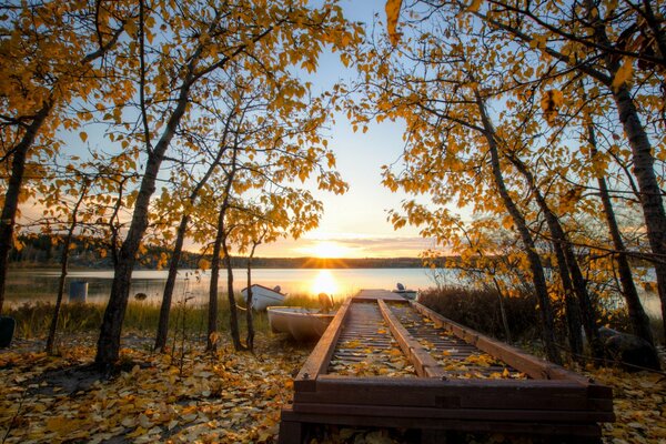 Sunset on the background of autumn leaf fall