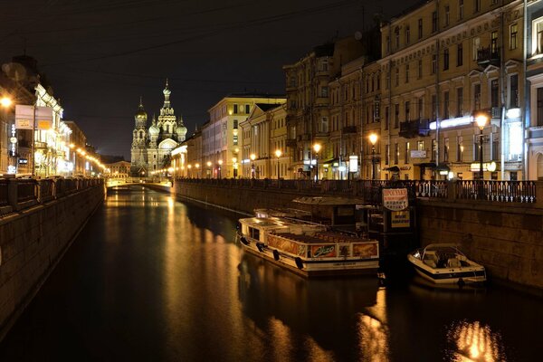 Calm night lights of St. Petersburg