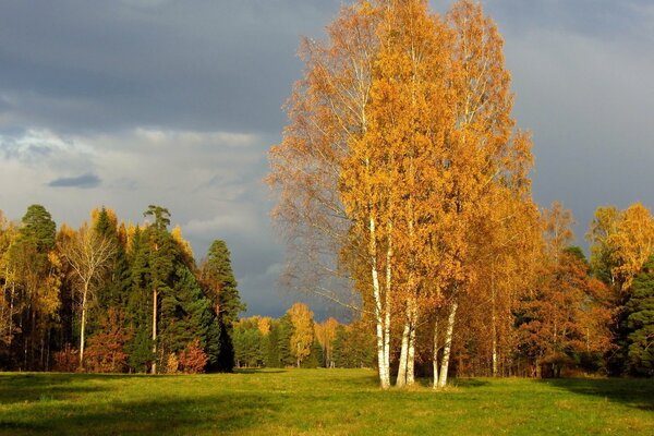 Naturaleza De Rusia. Otoño en San Petersburgo