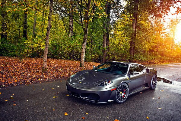 Silver ferrari 430 in autunno