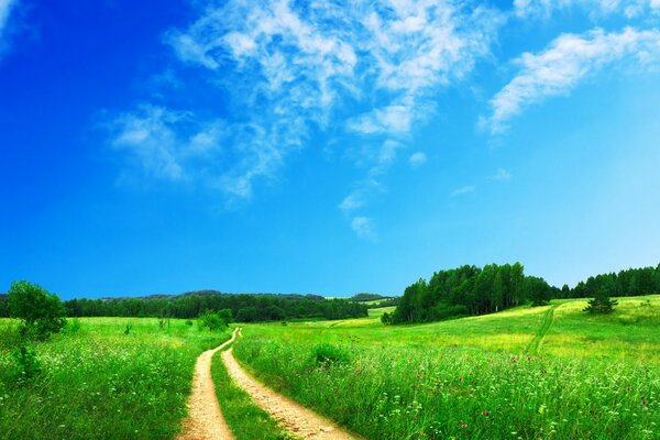 Strada, campo e cielo sereno