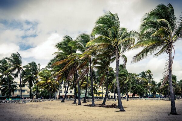 Les gens de Miami séduisent par la beauté