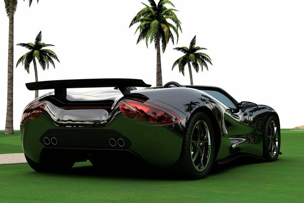 Supercar in piedi sull erba