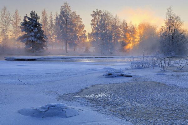 Beau paysage d hiver Suédois