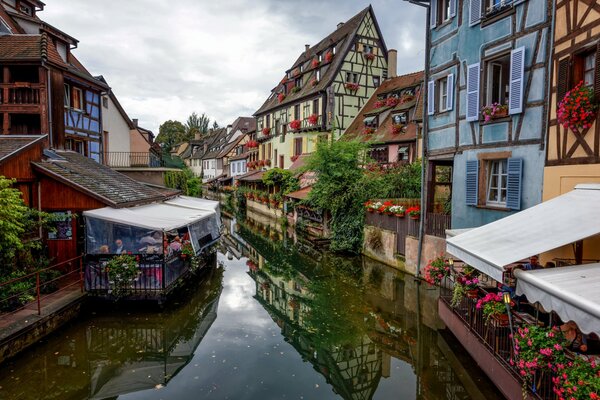 Fleur De France. Maisons décorées de la ville