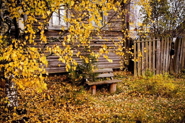 An old house on the background of golden autumn