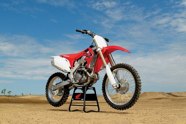 A mountain bike stands on the sand in the desert