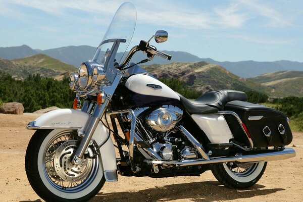 White Harley - handsome against the background of mountains and sky 