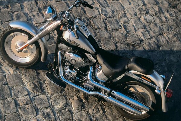 Cool bike Harley Davidson