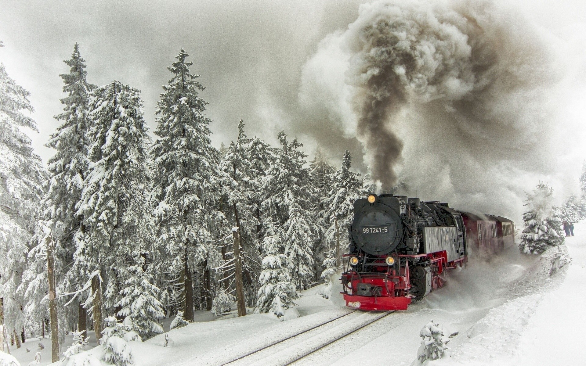 zusammensetzung lokomotive jungtier bäume schnee schienen zug winter