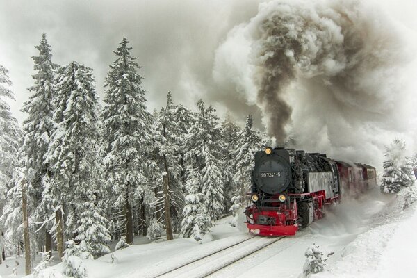 Steam train on the background of a snowy forest