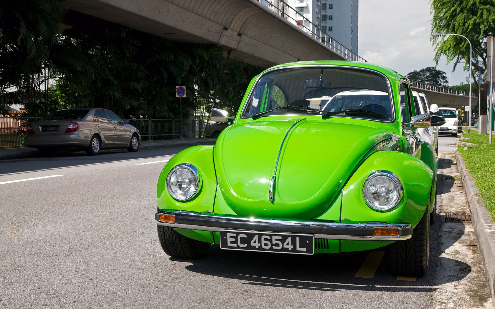 volkswagen beetle beetle green