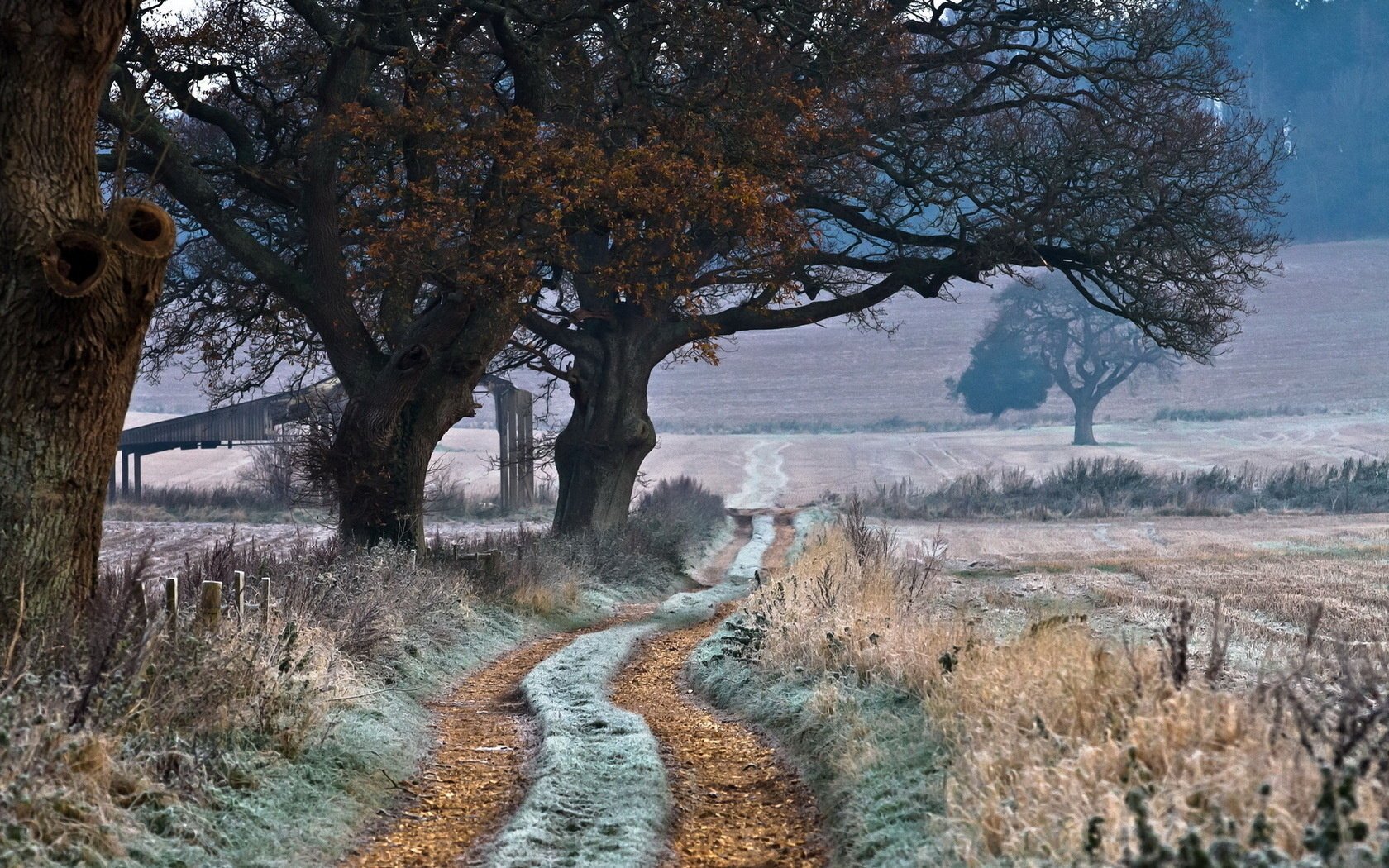 campo strada paesaggio