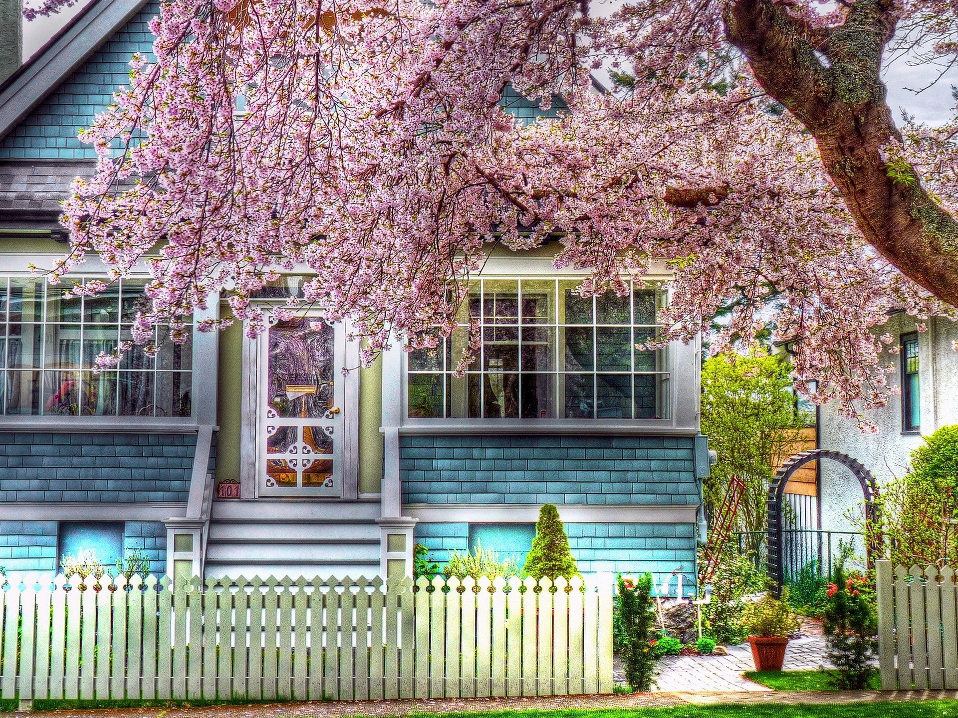 primavera casa árbol color casa naturaleza hdr foto