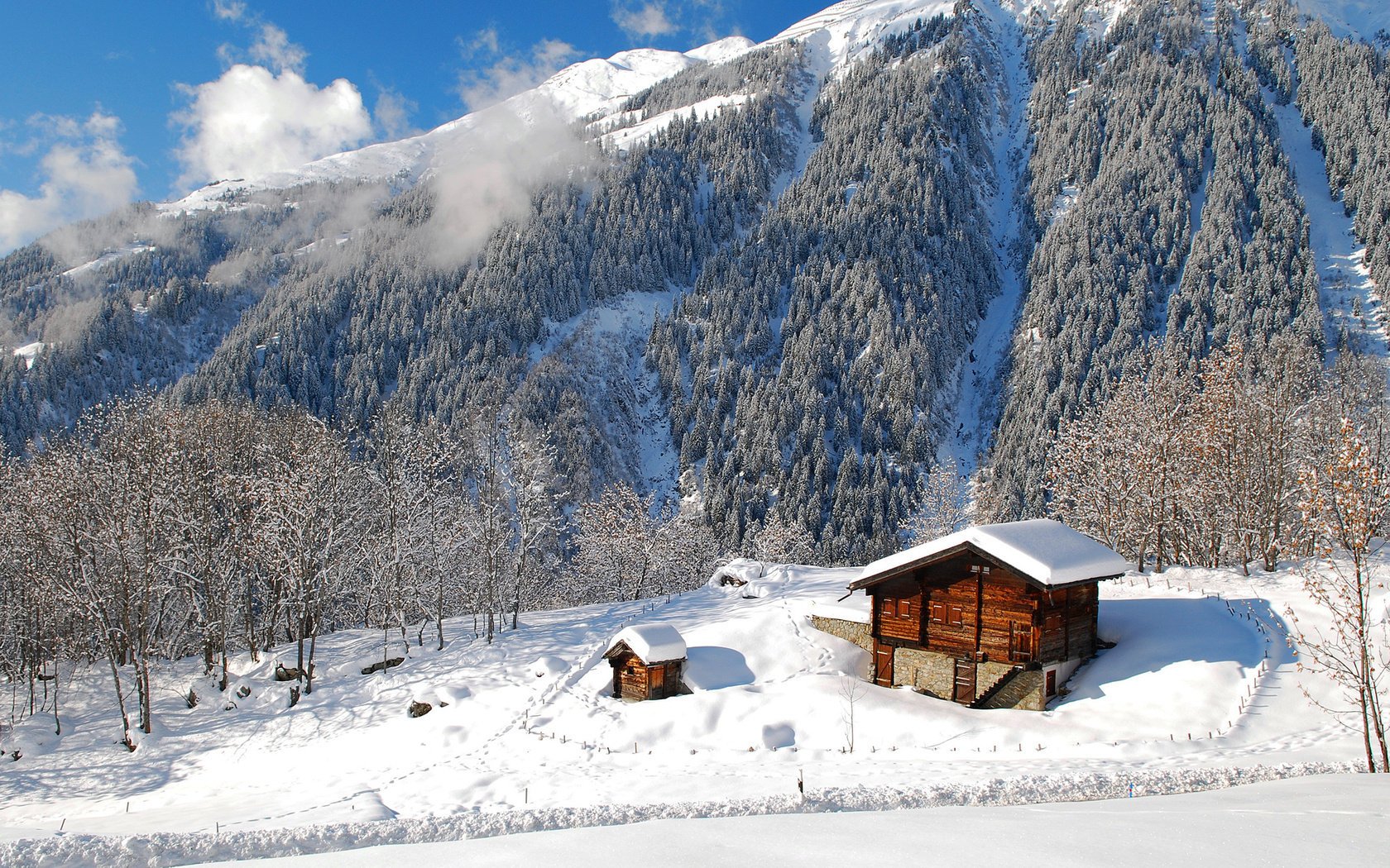 paesaggio natura foresta montagna casa inverno