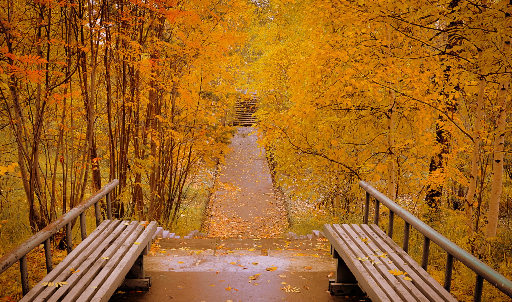 ciudad parque otoño