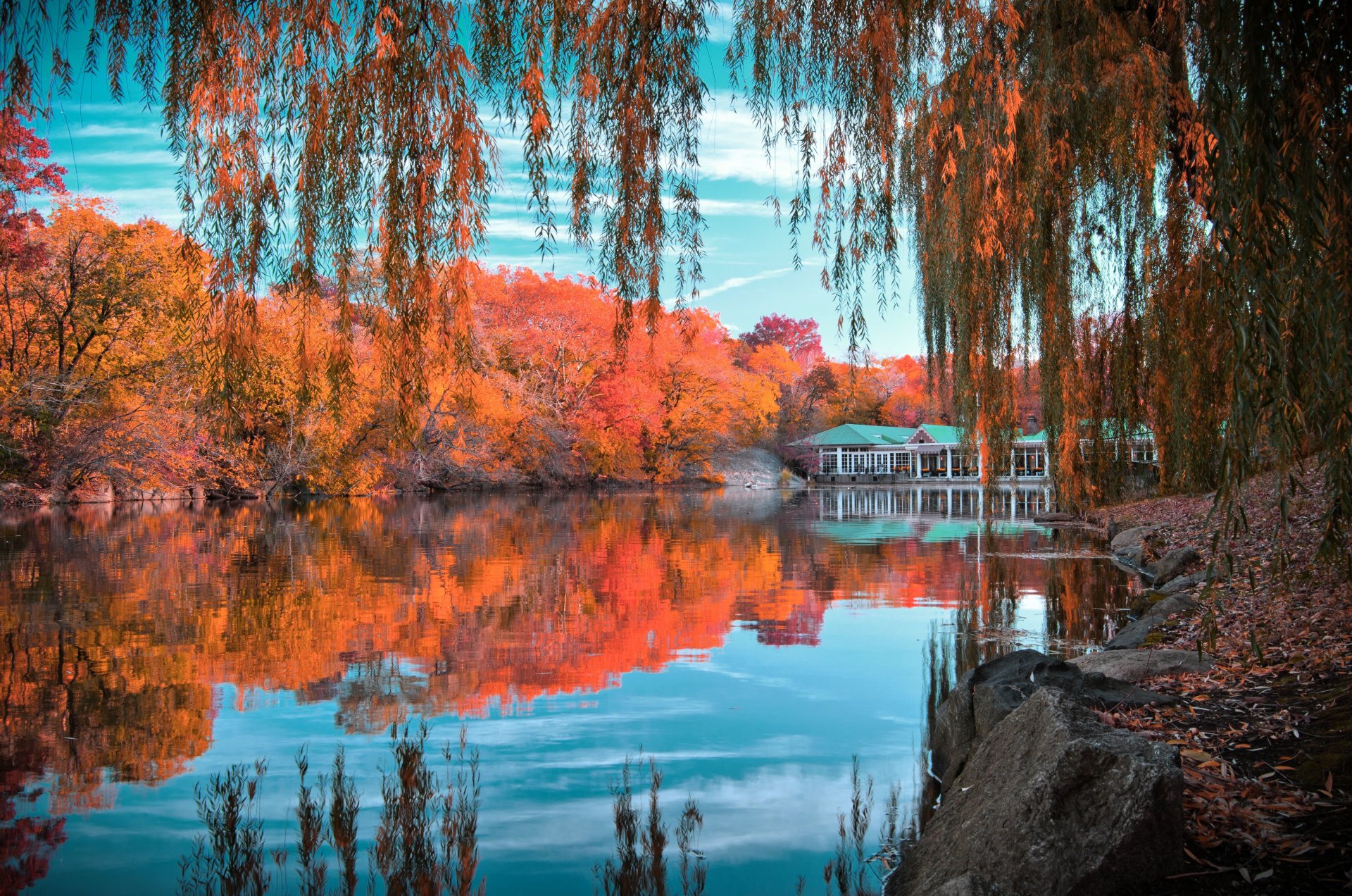 central park nowy jork nowy jork central park jesień jezioro drzewa liście szkarłat domek odbicie kamienie niebo chmury