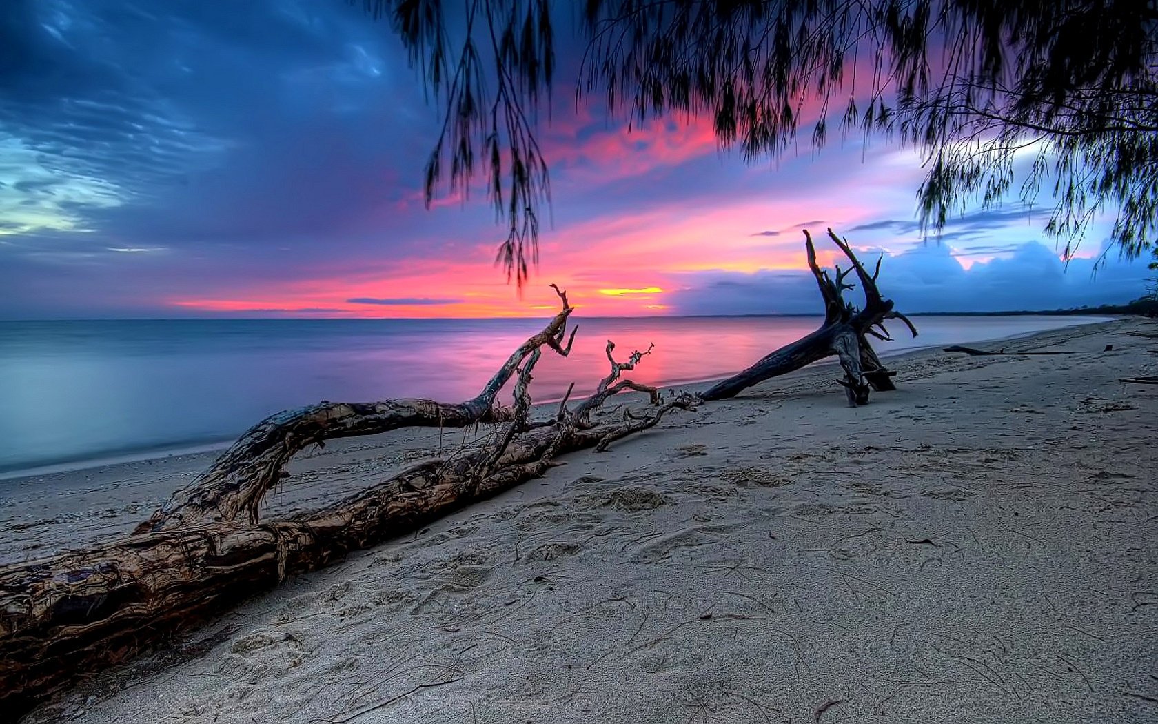 paysage plage