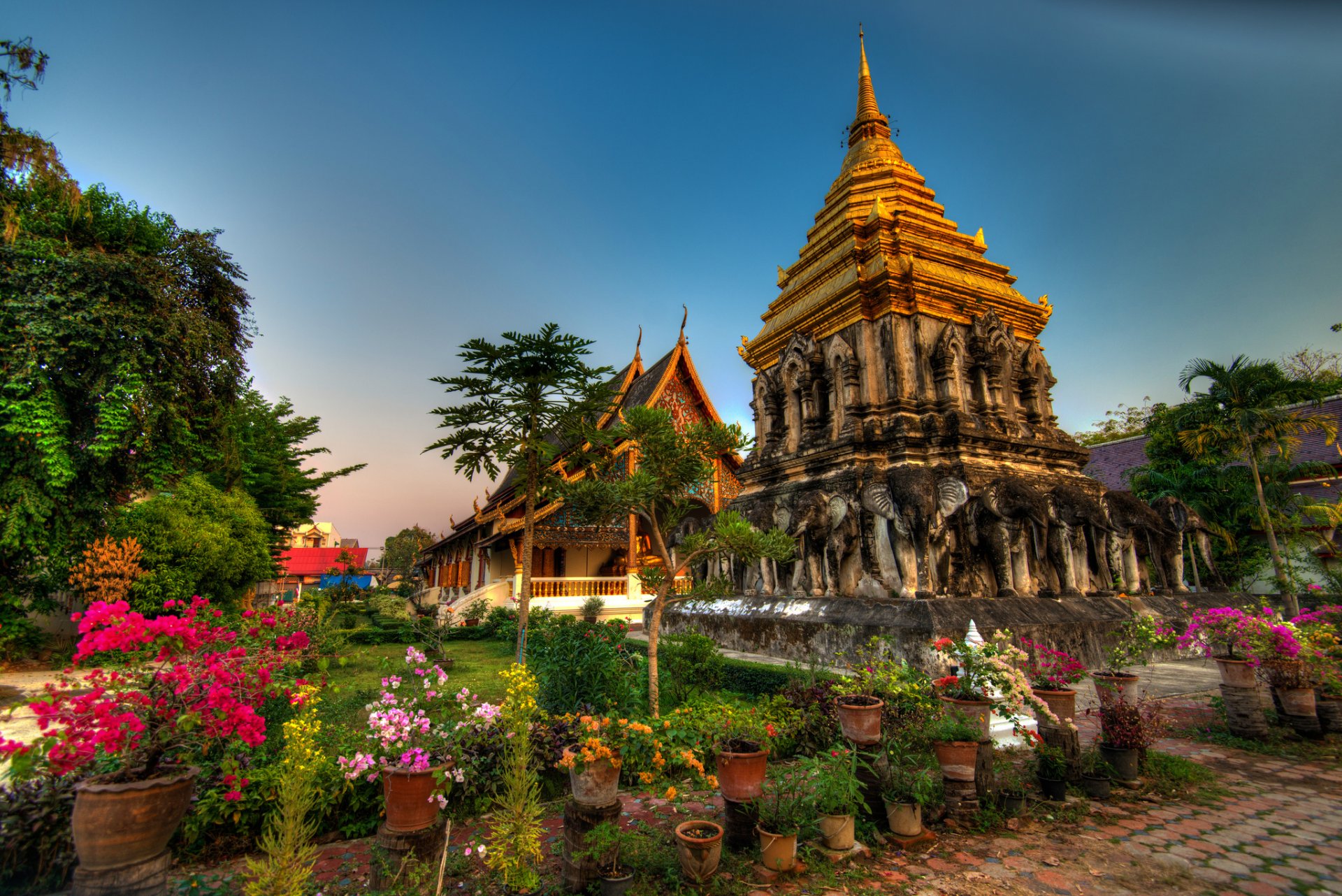 wat chiang man chiang mai thaïlande temple wat chiang man thaïlande fleurs