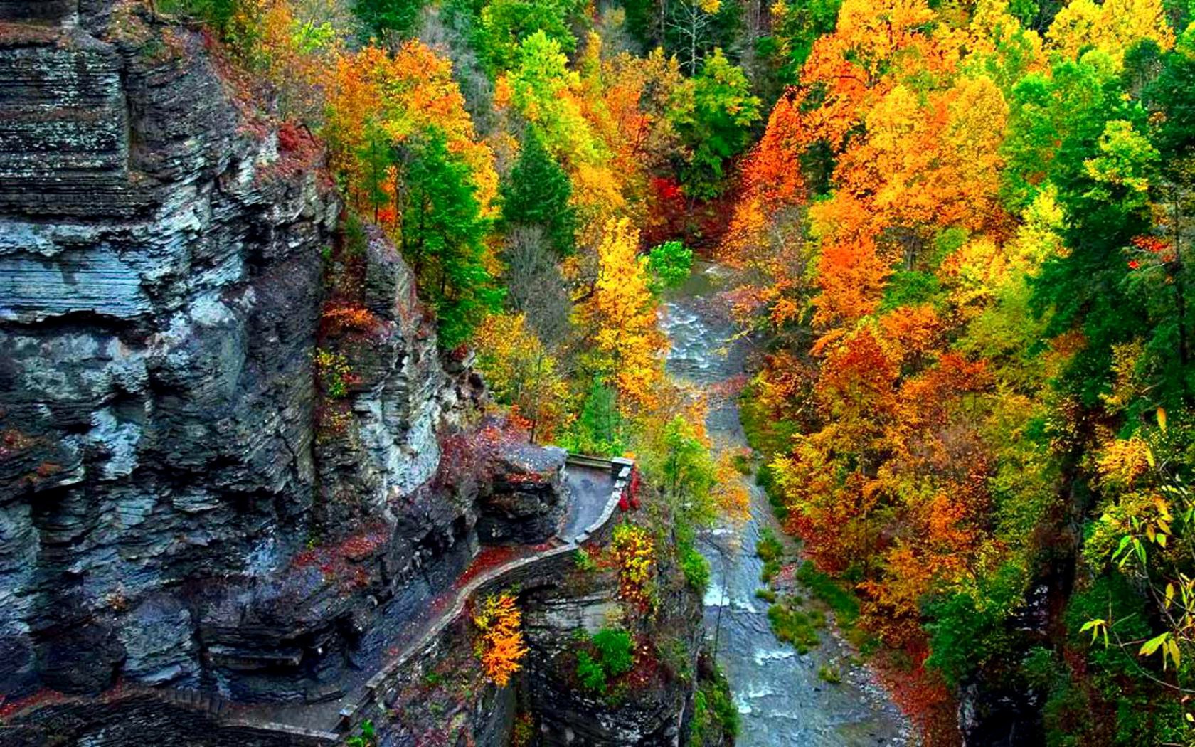 naturaleza montañas bosque