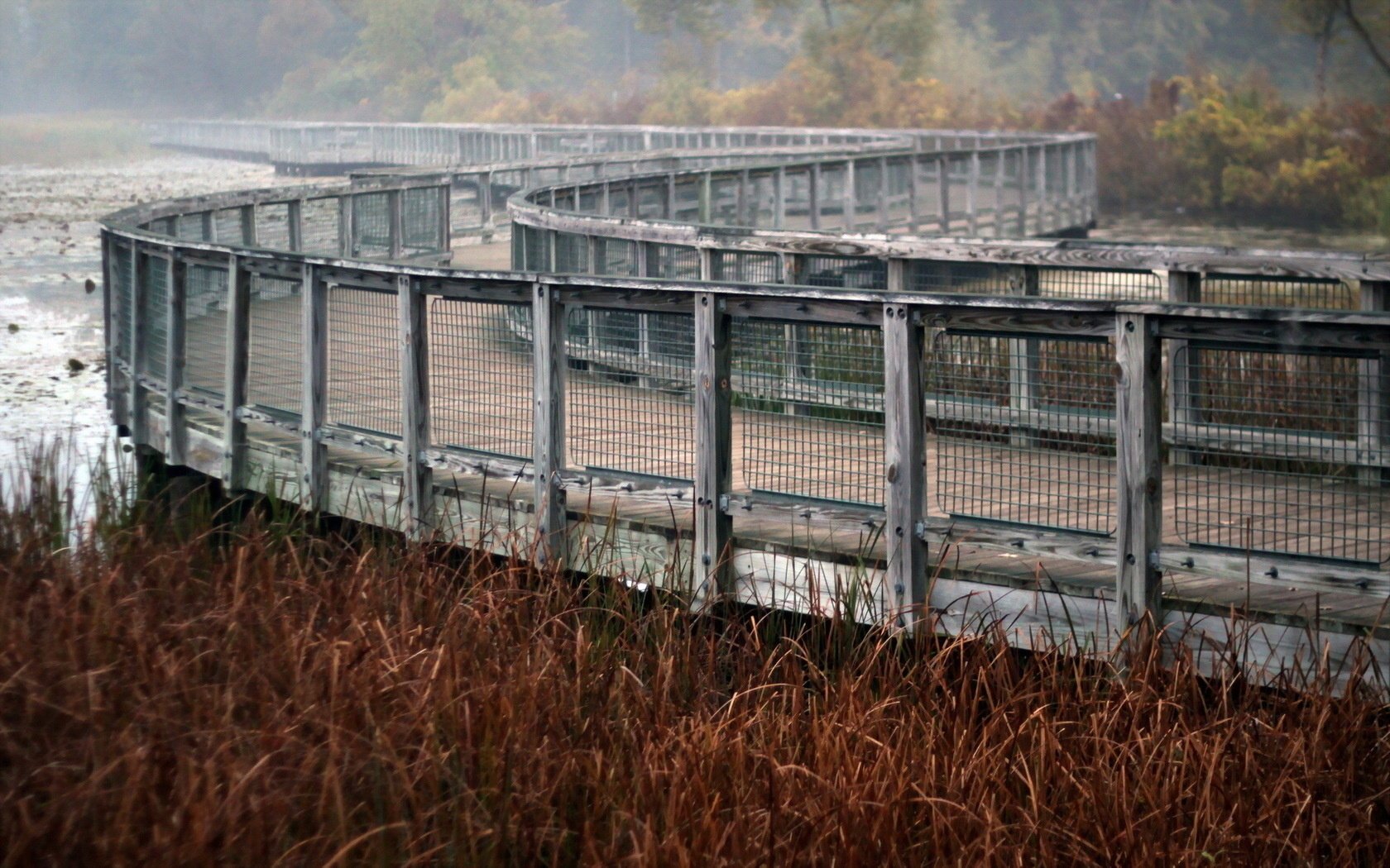 lake landscape bridge