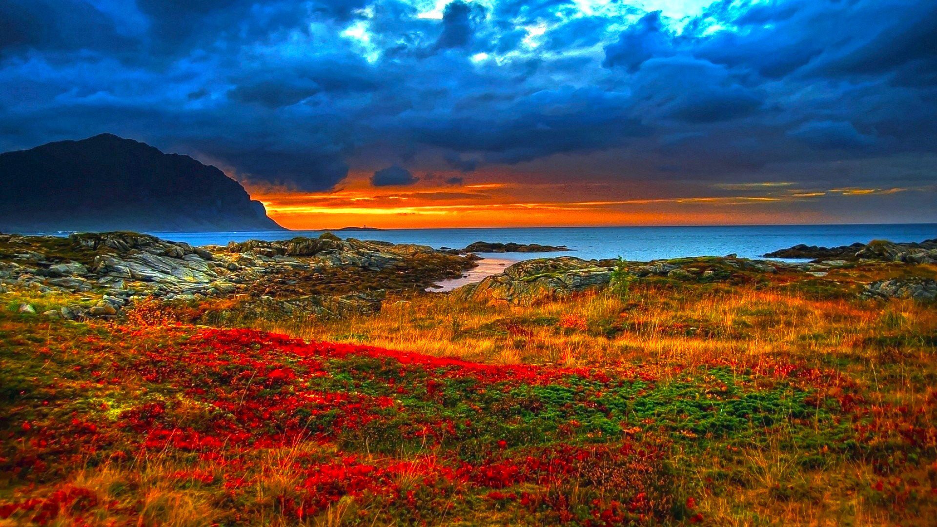 coast grass shore mountains rock