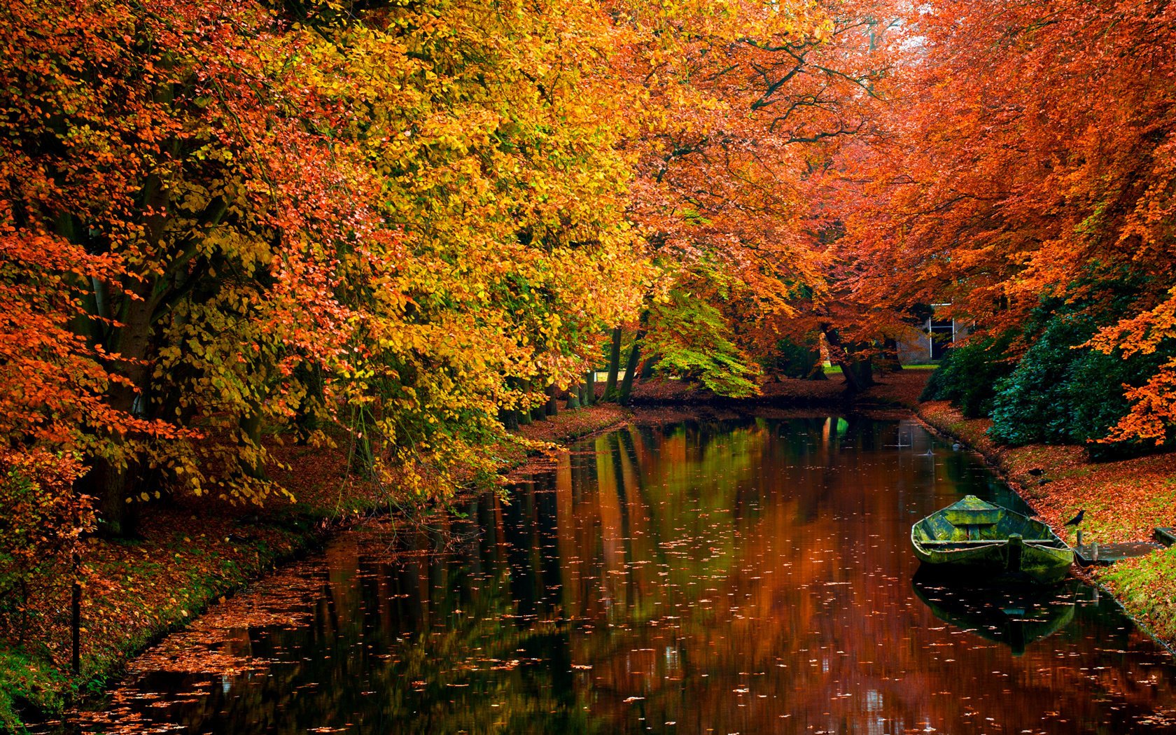 herbst wald fluss