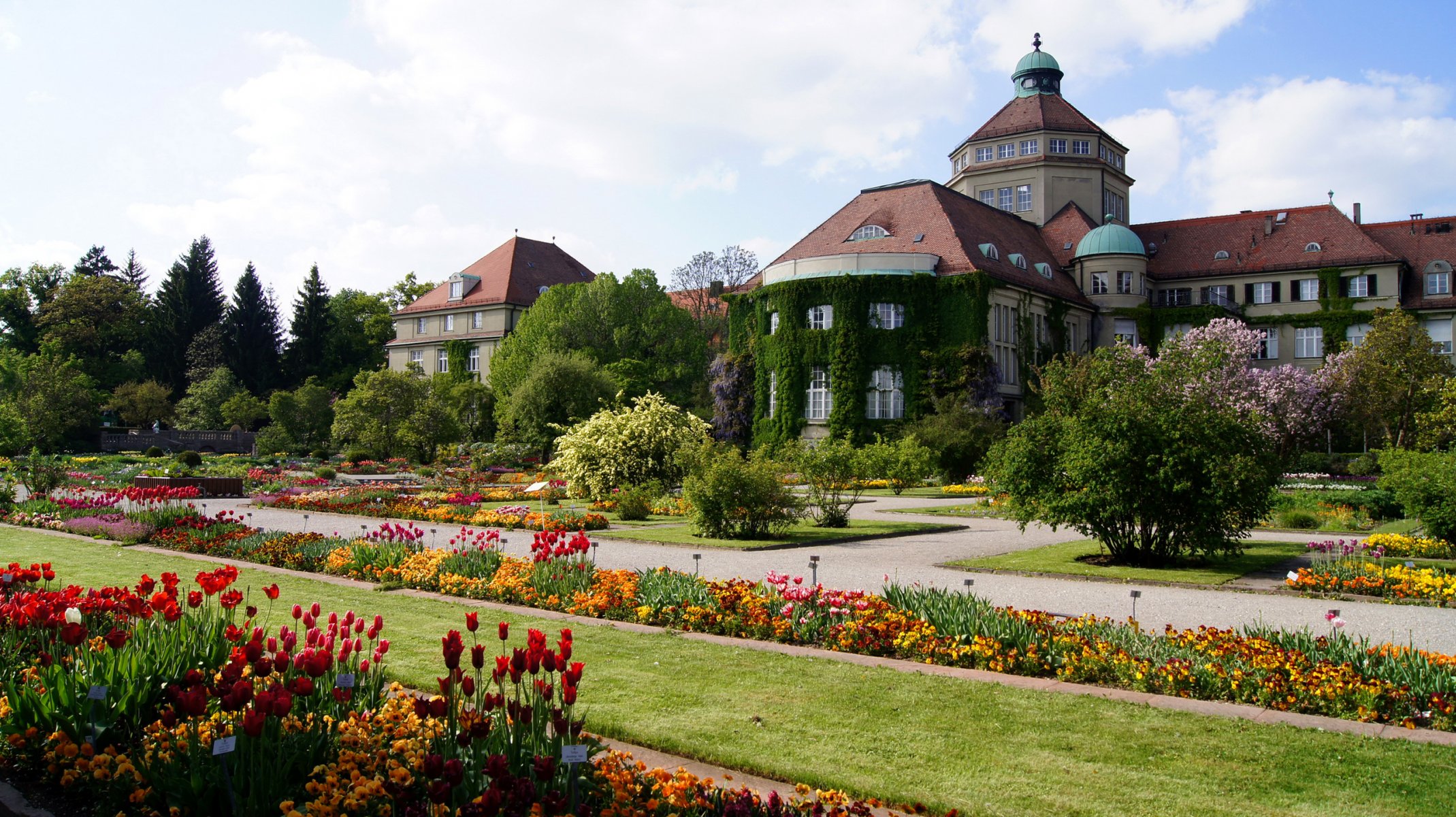 münchen deutschland botanischer garten himmel haus gasse blumenbeet blumen landschaft