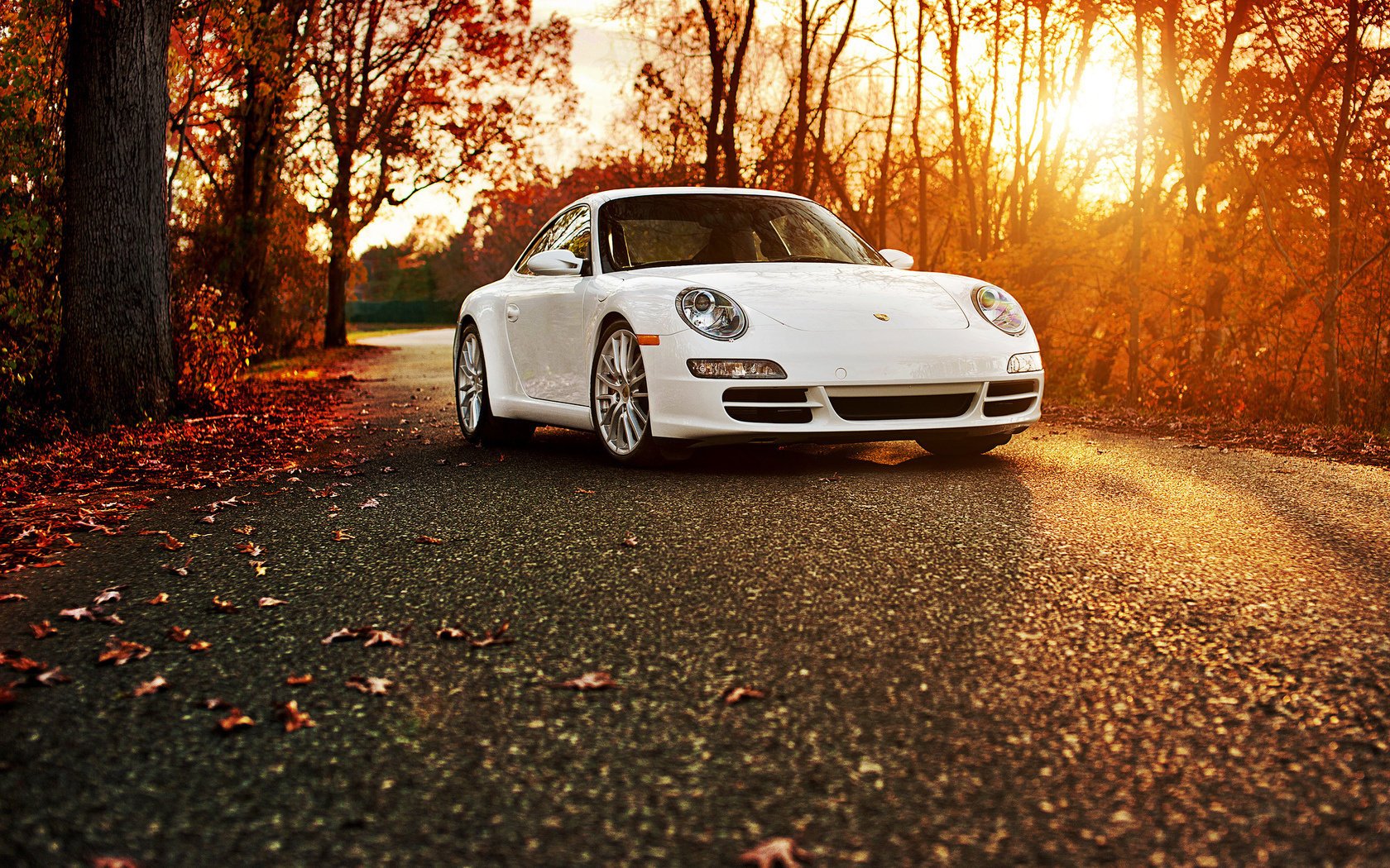 porsche 911 carrera s porsche autunno bianco 911