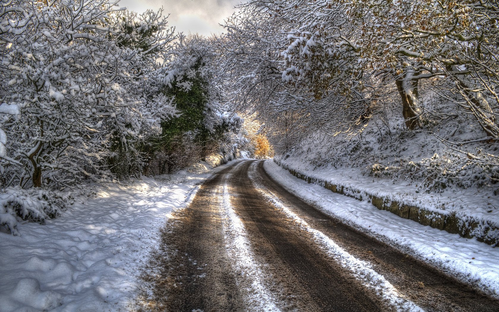 bosque naturaleza montañas invierno paisaje