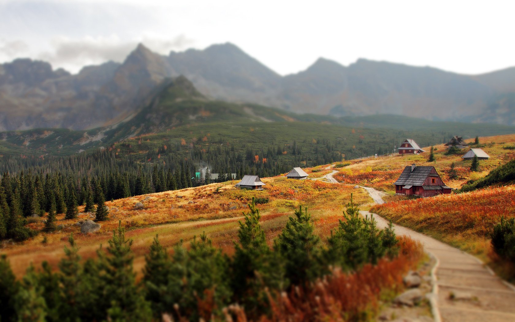 slovaquie carpates tatras slovakia