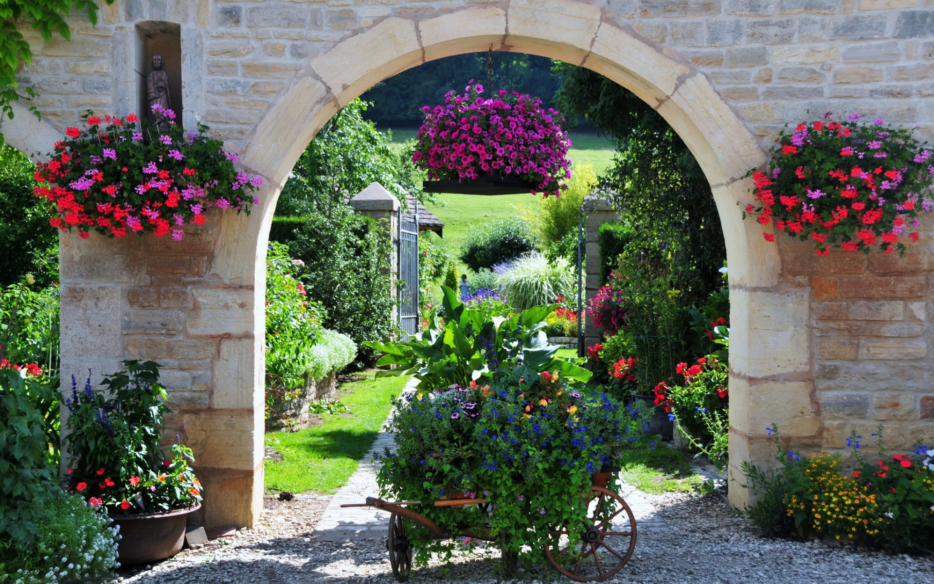 frankreich garten petunien geranie natur blumen foto