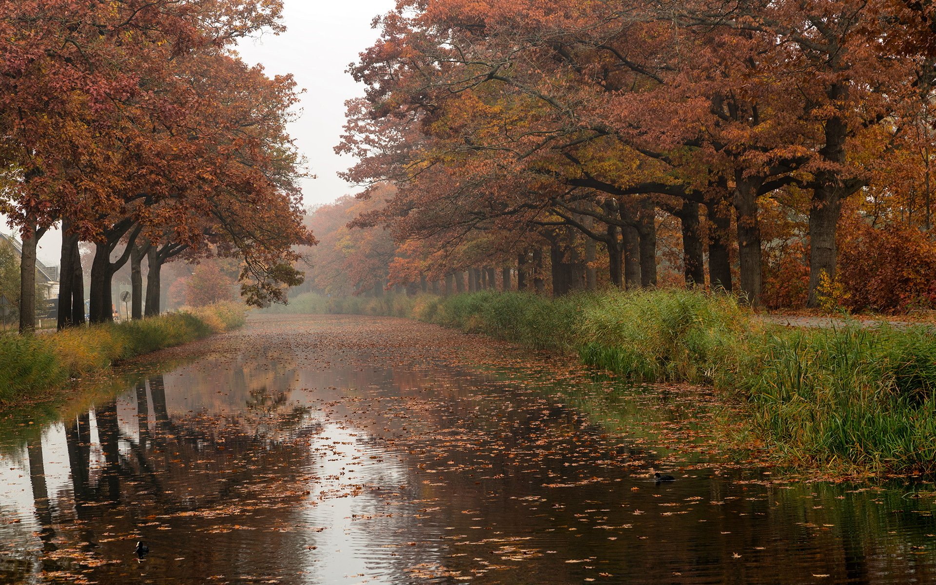 ciudad otoño río