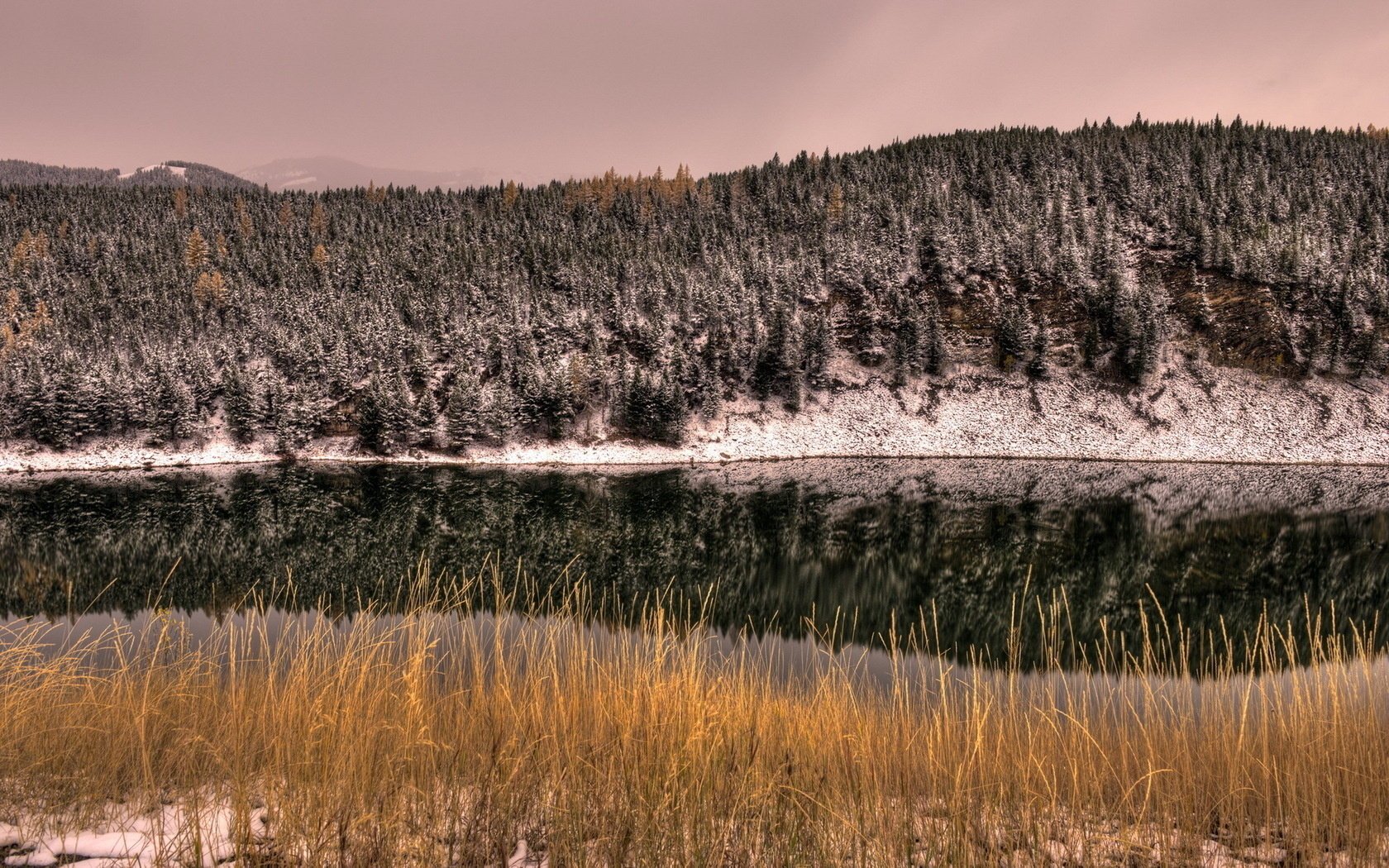 forêt rivière paysage