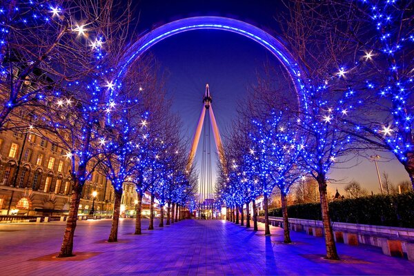 View of the Ferris wheel at night in the light of illumination