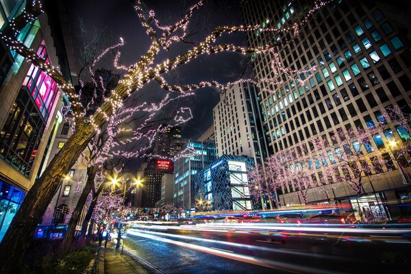 Luces encendidas en los árboles al lado de la carretera