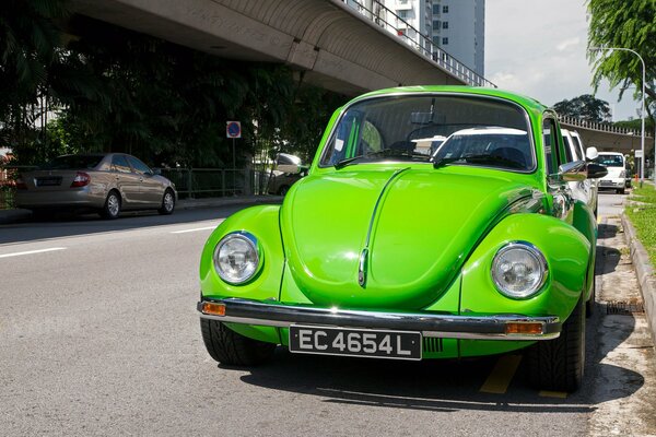 Grüner VW Käfer am Straßenrand