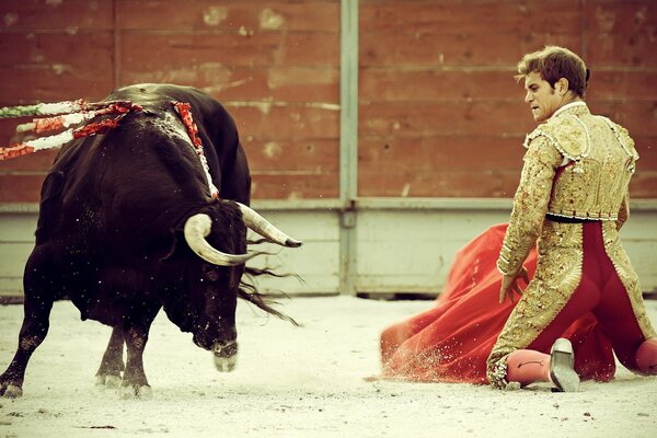 Brave bullfighter and bull in Spain