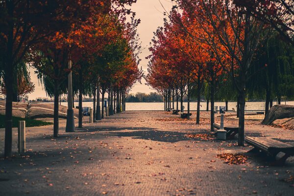 Herbst in der Straßenfotografie