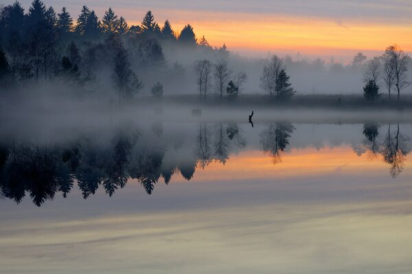 Brumoso amanecer sobre un lago tranquilo