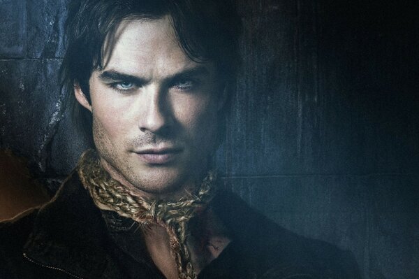 Poster for the movie The Vampire Diaries .