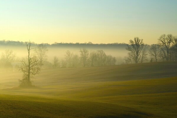 Schöne Landschaft des Morgennebelfeldes