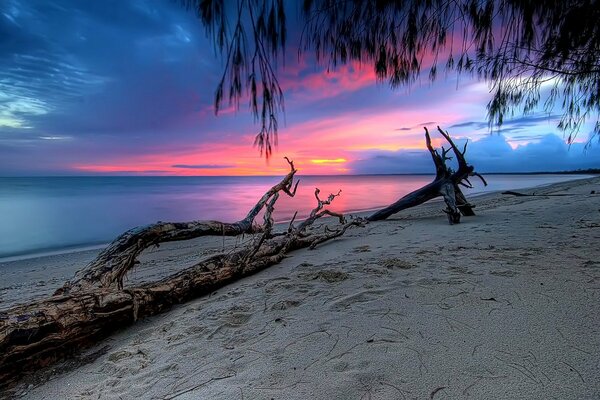 Paisaje de la playa al atardecer