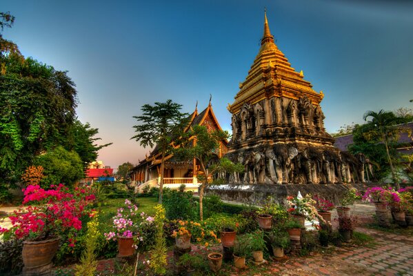 Flores cerca de un templo en Tailandia