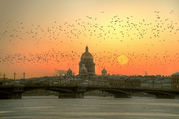 Winterrosa Sonnenaufgang in St. Petersburg