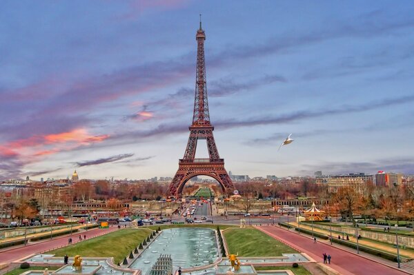 The tower against the background of the evening sky. Seagull