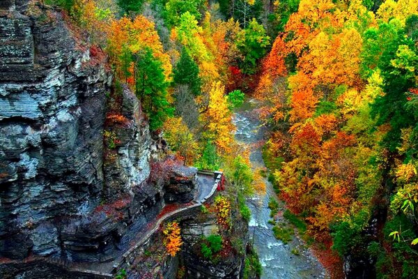 Bellissimo paesaggio nella zona rocciosa con gli alberi multicolori