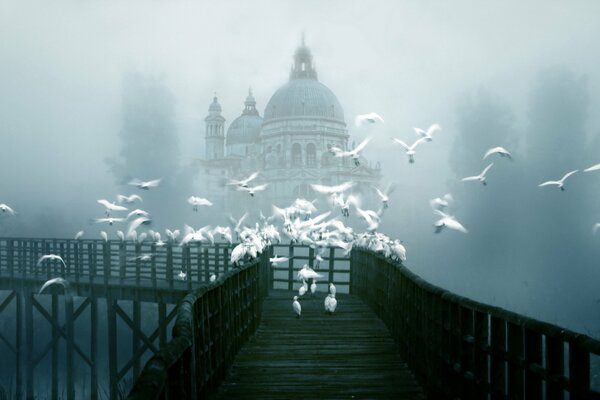 A city in the fog with a bridge and birds